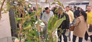 Jornadas técnicas subtropicales